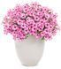 Петунія Mini Vista Pink Star Петунія Mini Vista Pink Star фото 1