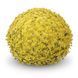 Хризантема мультифлора Baoli Lemon Хризантема мультифлора Baoli Lemon фото 1